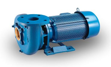 RAW WATER PUMP